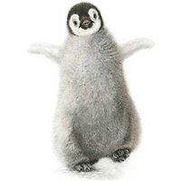 Museums And Galleries Emporor Penguin Chick Charity Christmas Cards, Pack Of 8