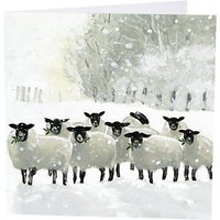 Art Marketing Shepherds Watch Charity Cards, Pack Of 6