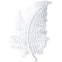 La Stephanoise Feather Iron On Patch, White