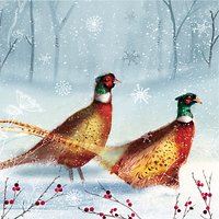 Almanac Bright Pheasants Charity Christmas Cards, Pack Of 6