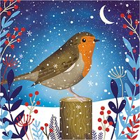 Almanac Starlit Robin Charity Christmas Cards, Pack Of 6