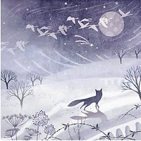 Almanac Frosty Fox Charity Christmas Cards, Pack Of 6
