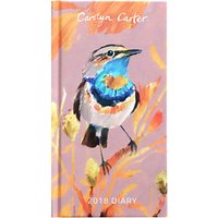 Carolyn Carter Birds Slim 2018 Diary