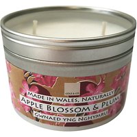 Cole & Co Apple Blossom & Plum Candle Tin, Silver