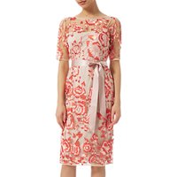 Adrianna Papell Two-Tone Embroidery Dress, Blush/Rouge