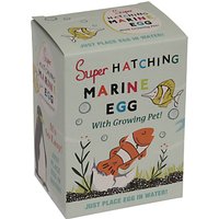 Rex International Super Hatching Marine Egg