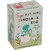 Rex International Hatch Your Own Dino Egg