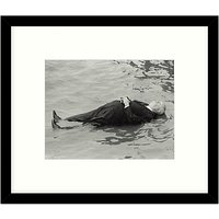 Getty Images Gallery - Hitchcock In The Water 1971 Framed Print, 57 X 49cm