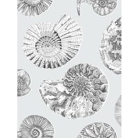 Voyage Fossilium 3m Wallpaper