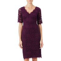 Adrianna Papell Rose Lace Sheath Dress, Mulberry
