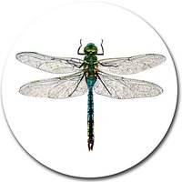 Gadd & Co Dragonfly Placemat, Glass, Dia.30cm