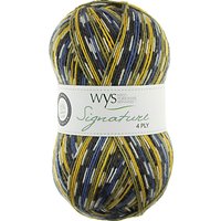 West Yorkshire Spinners Birds Signature 4 Ply Yarn, 100g