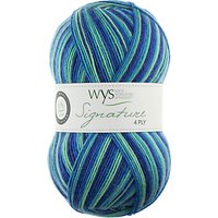 West Yorkshire Spinners Cocktails Signature 4 Ply Yarn, 100g