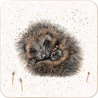 Harebell Designs Hedgehog Coasters, Set Of 4, Multi