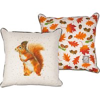 Harebell Designs Squirrel Cushion, Multi