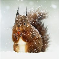 Ling Designs Red Squirrel Christmas Card