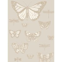 Cole & Son Butterflies & Dragonflies Wallpaper - 103/15064