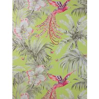 Matthew Williamson Bird Of Paradise Wallpaper - Lemon, W6655-01