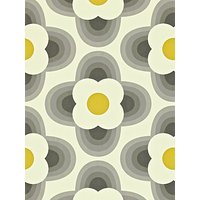 Orla Kiely House For Harlequin Striped Petal Wallpaper - 110402