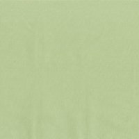 Cotton Couture By Michael Miller Fabric - Green Tea