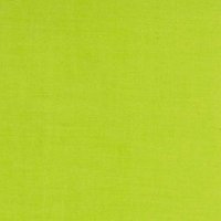 Cotton Couture By Michael Miller Fabric - Lime