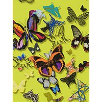 Christian Lacroix For Designers Guild Butterfly Parade Wallpaper - PCL008/04
