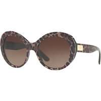 Dolce & Gabbana DG4295 Outsize Oval Sunglasses - Brown Leopard/Brown Gradient