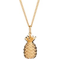 Rachel Jackson London Long Pineapple Pendant Necklace - Gold