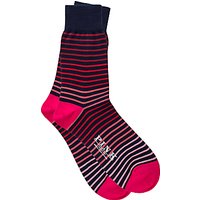 Thomas Pink Hillard Stripe Socks - Navy/Pink