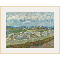 The Courtauld Gallery, Vincent Van Gogh - Peach Blossom In The Crau 1889 Print - Natural Ash Framed Print