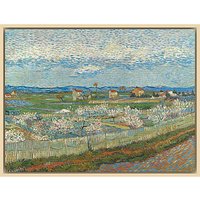 The Courtauld Gallery, Vincent Van Gogh - Peach Blossom In The Crau 1889 Print - Natural Ash Framed Canvas