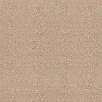 Brintons Bell Twist Wool Carpet - French Champagne