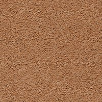Axminster Devonia 50oz Twist Carpet - Summer Spice