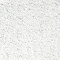 Corded Lace Fabric - Ivory