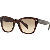Prada PR09SS Square Sunglasses - Tortoise