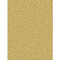 Cole & Son Pebble Wallpaper - Sand 106/2025