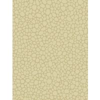 Cole & Son Pebble Wallpaper - Latte 106/2024