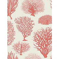 Cole & Son Seafern Wallpaper - Coral 107/2011