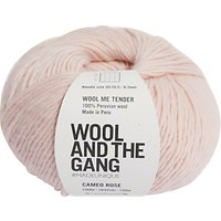 Wool And The Gang Wool Me Tender Chunky Yarn, 100g - Cameo Rose