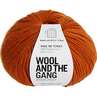 Wool And The Gang Wool Me Tender Chunky Yarn, 100g - Cinnamon Dust