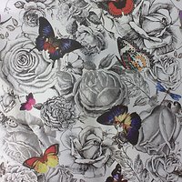 Osborne & Little Butterfly Garden Wallpaper - W6592-02