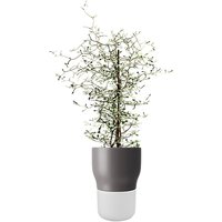 Eva Solo Self Watering Plant Pot - Grey