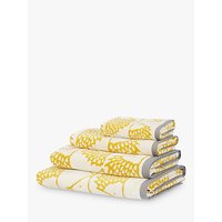 Scion Spike Towels - Mustard