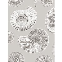 Voyage Fossilium 3m Wallpaper - Sepia