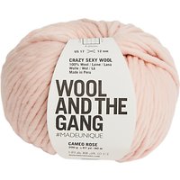 Wool And The Gang Crazy Sexy Super Chunky Yarn, 200g - Cameo Rose