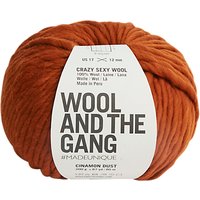 Wool And The Gang Crazy Sexy Super Chunky Yarn, 200g - Cinnamon Dust