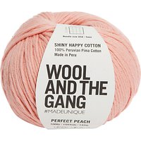 Wool And The Gang Shiny Happy Aran Yarn, 100g - Peach Pink