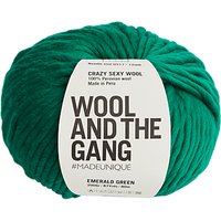Wool And The Gang Crazy Sexy Super Chunky Yarn, 200g - Green