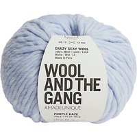 Wool And The Gang Shiny Happy Aran Yarn, 100g - Purple Haze