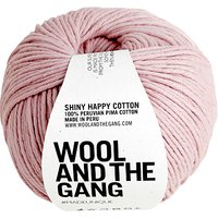 Wool And The Gang Shiny Happy Aran Yarn, 100g - Nude Pink